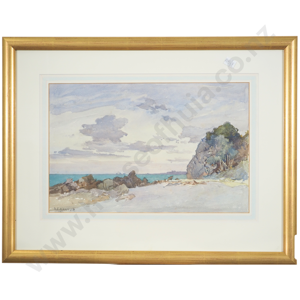 A E. Baxter 1962: A South Westland Beach Image 1++