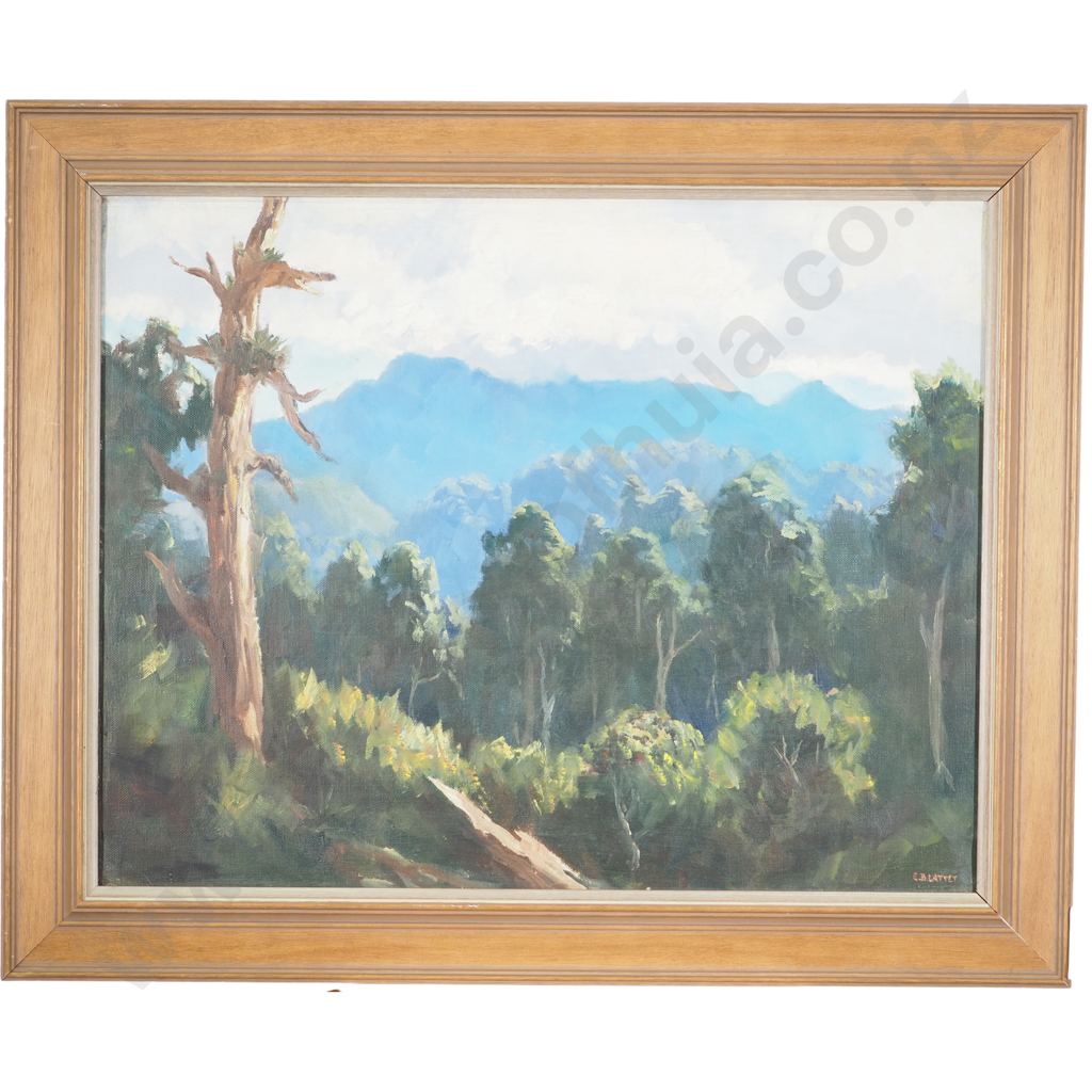 Ted Lattey: West Coast Forest Image 1++