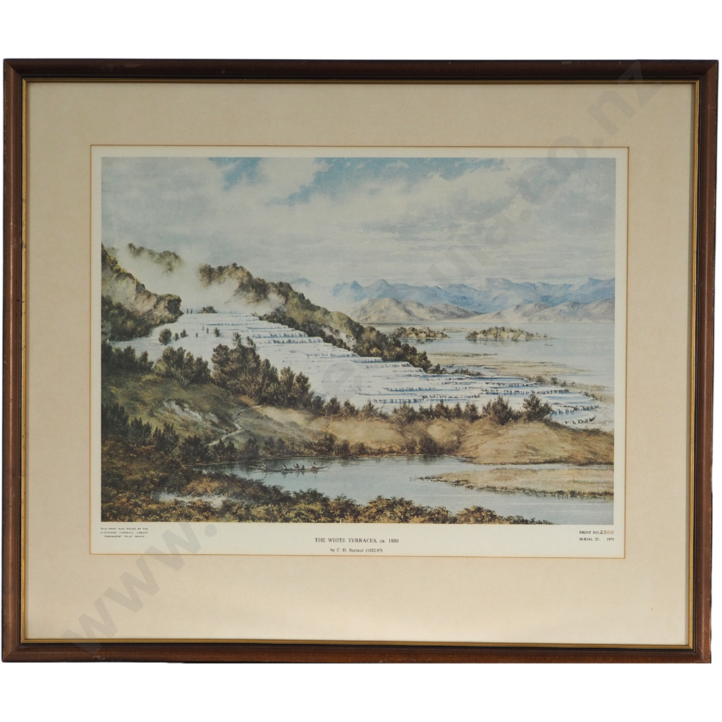 C.D. Barraud ca. 1880: The White Terraces Image 1++