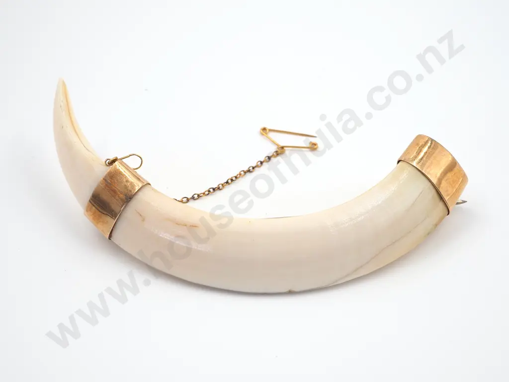 Large 9ct Gold Boar Tusk Brooch w Safety Chain Image 1++