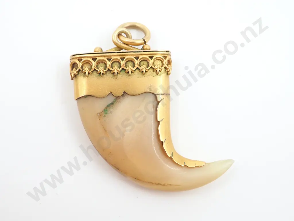 Antique Tiger Claw Pendant set in 9ct Gold w Gallery Decoration Image 1++