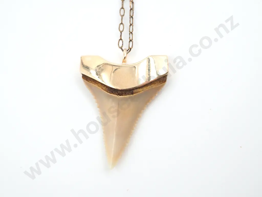 Colonial 9ct Gold Shark Tooth Pendant Image 1++