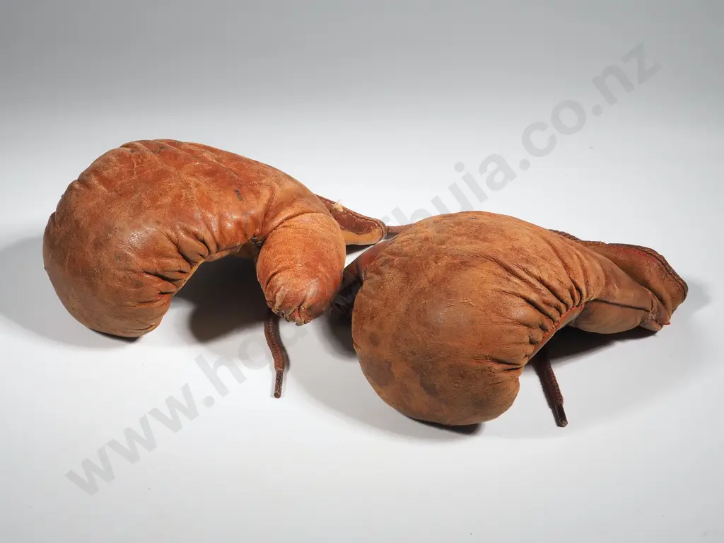 Child's Leather Boxing Gloves Image 1++