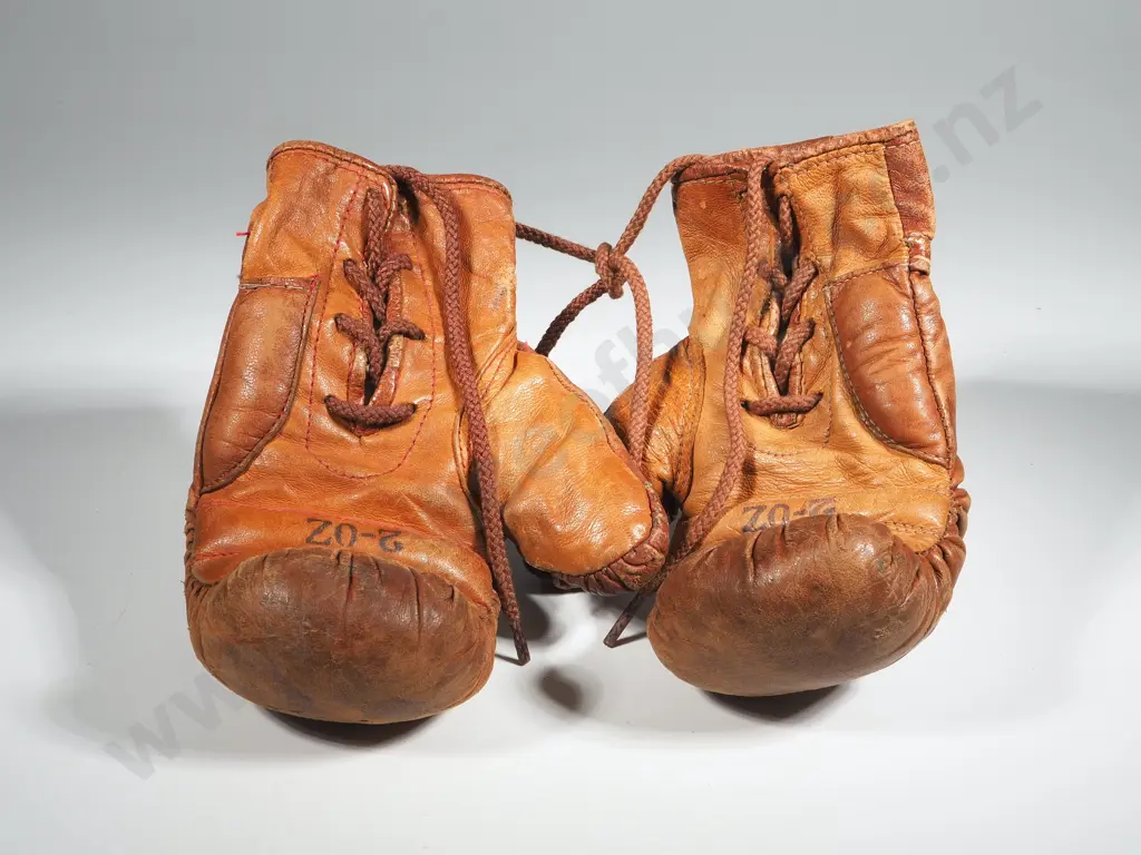 Child's Leather Boxing Gloves Image 1++