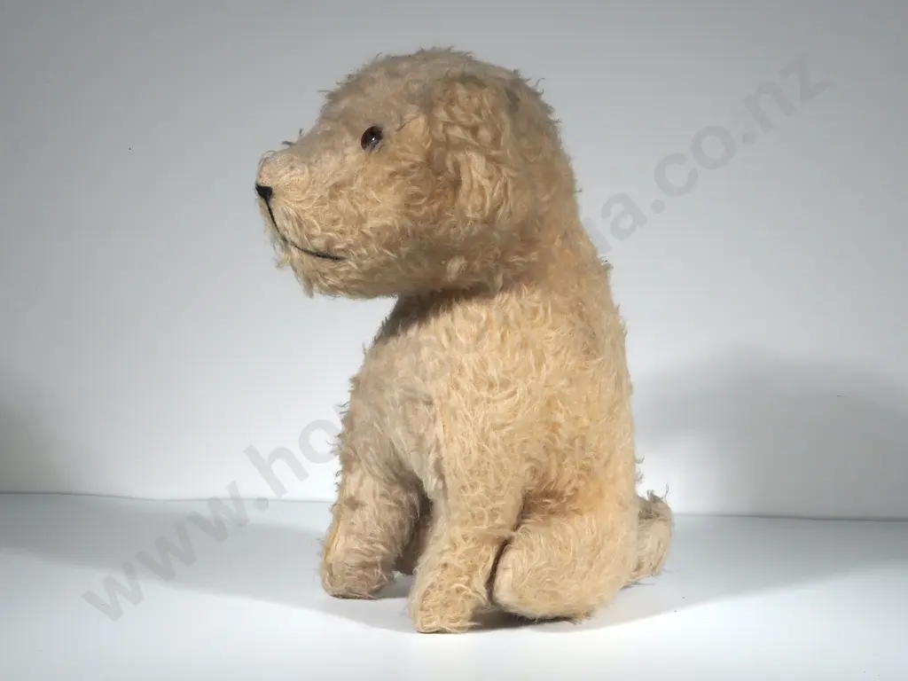Antique Terrier Teddy  Image 1++