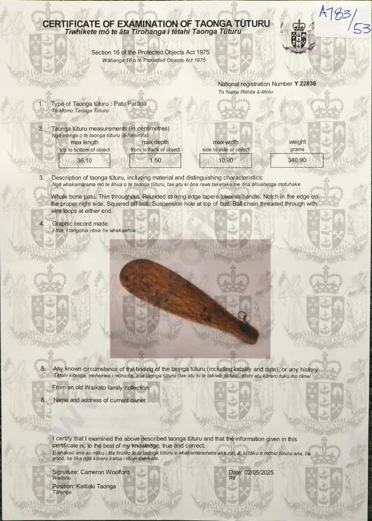 Antique Whale Bone Patu Paraoa Y-22836 Image 1++