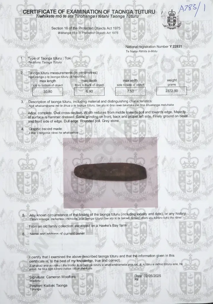 A Large & Impressive Pre-European Stone Toki Y22831 2.37 KG In Weight Image 1++