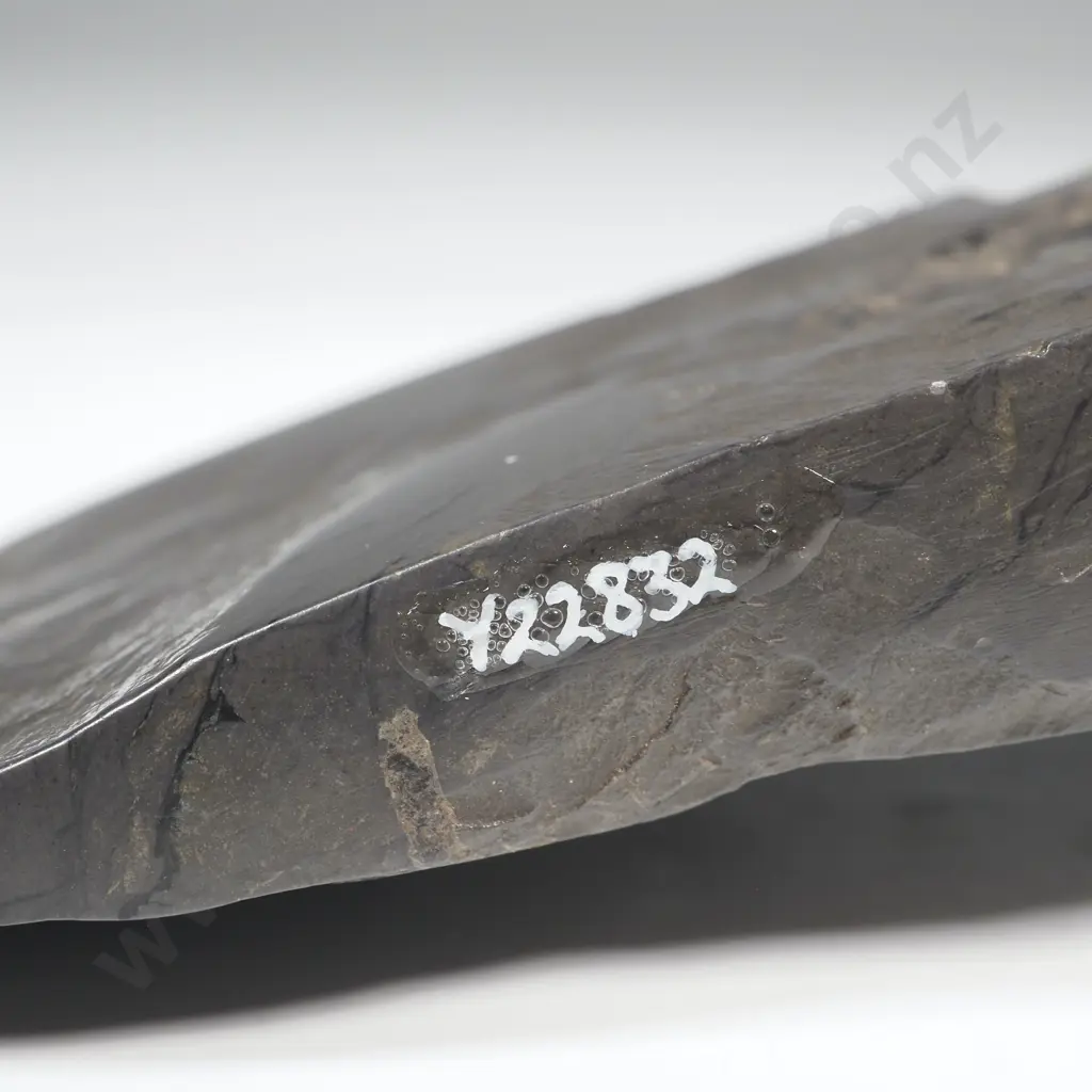 Pre-European Stone Toki Y-22832 Image 1++