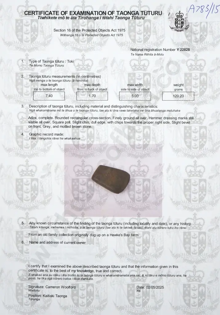 Pre-European Stone Toki - Found in the Hawkes bay Y-22828 Image 1++