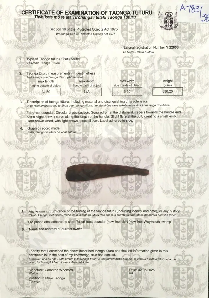 Pre-European Wooden Patu Aruhe Fern Root Pounder - Found in Weymouth Swamp  Y-22806 Image 1++