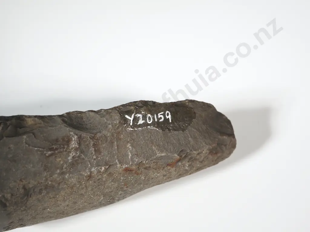 Pre-European Stone Toki Y-20159 Image 1++
