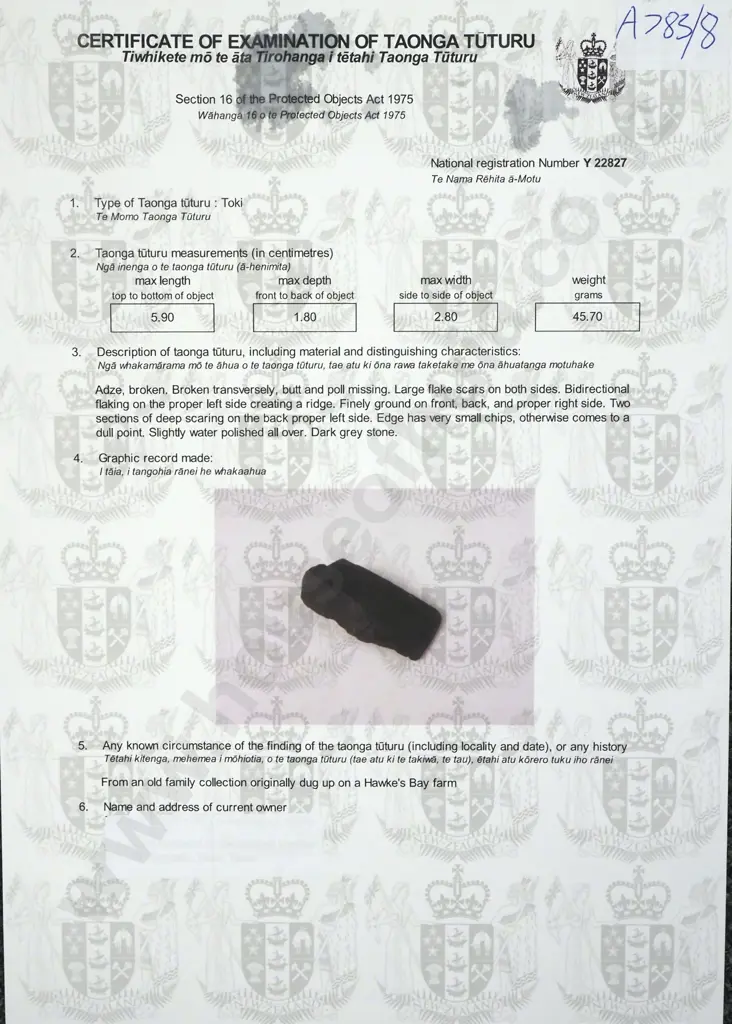 Pre European Stone Toki - Broken Y-22827 Image 1++