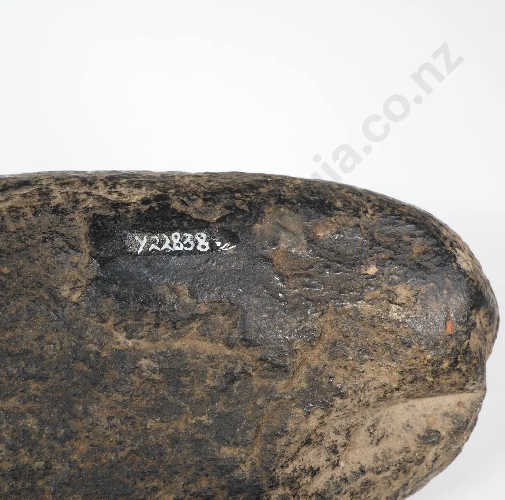 Large Pre-European Stone Toki - Found on an Ashburton Farm Y-22838 Image 1++