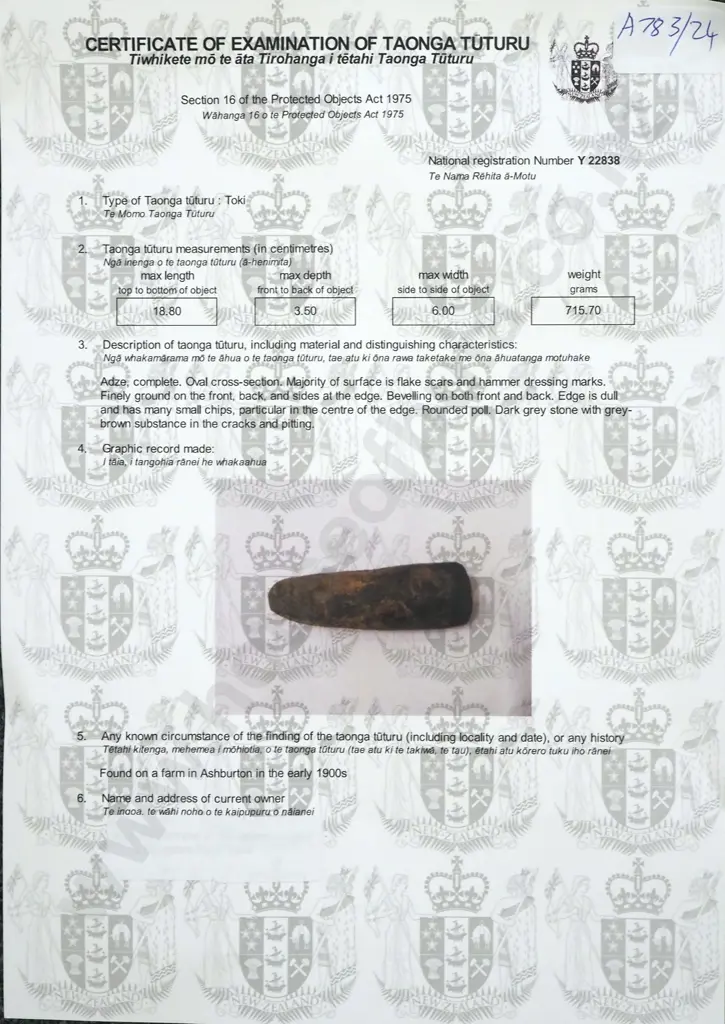 Large Pre-European Stone Toki - Found on an Ashburton Farm Y-22838 Image 1++