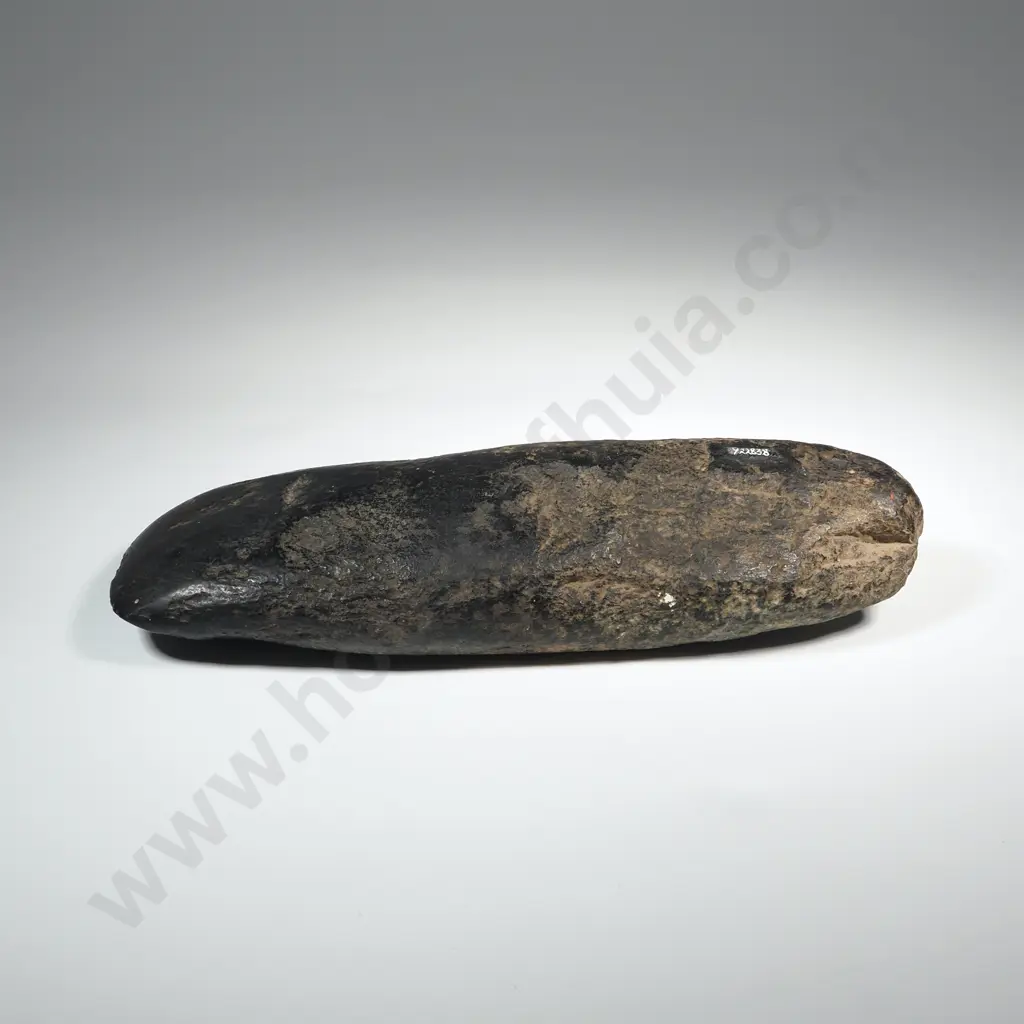 Large Pre-European Stone Toki - Found on an Ashburton Farm Y-22838 Image 1++