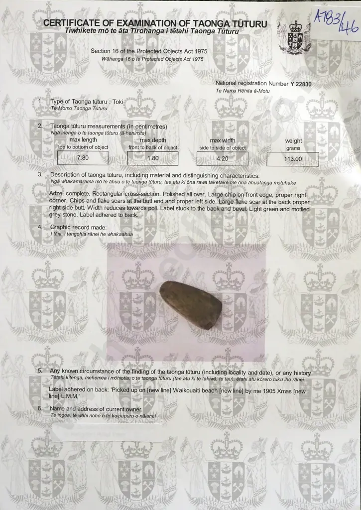 Pre-European Stone Toki - Label "Picked Up Waikouati Beach Christmas 1905" Y-22830 Image 1++