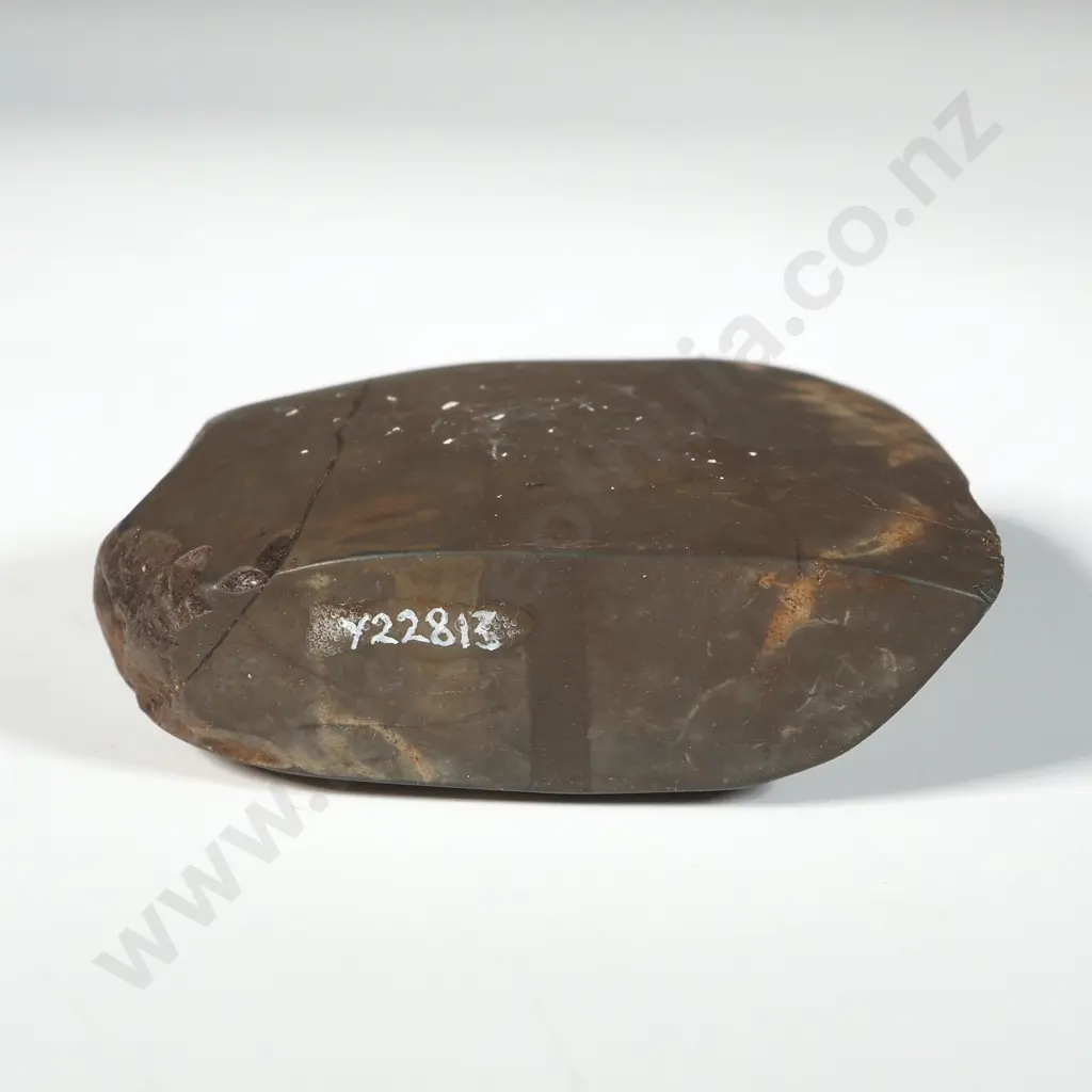 Pre-European Stone Toki - Found in the Hawkes bay Y-22813 Image 1++