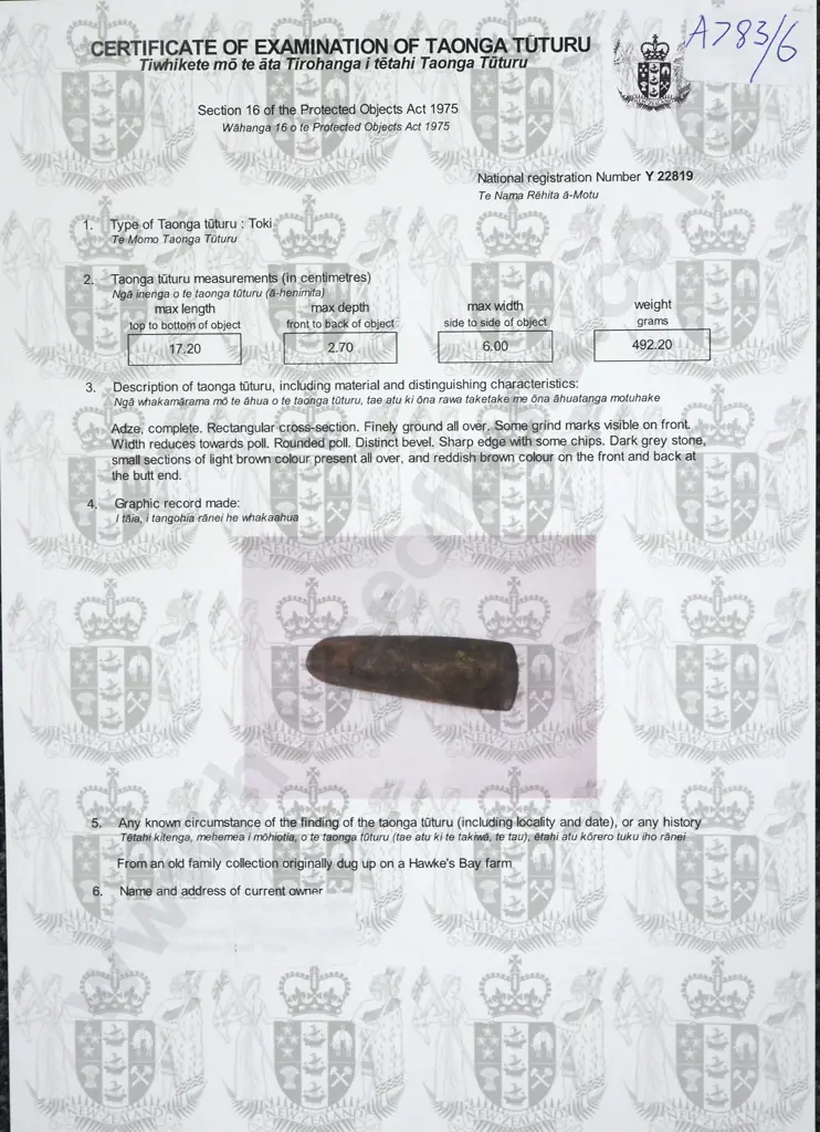 Pre-European Stone Toki - Found in the Hawkes bay Y-22819 Image 1++