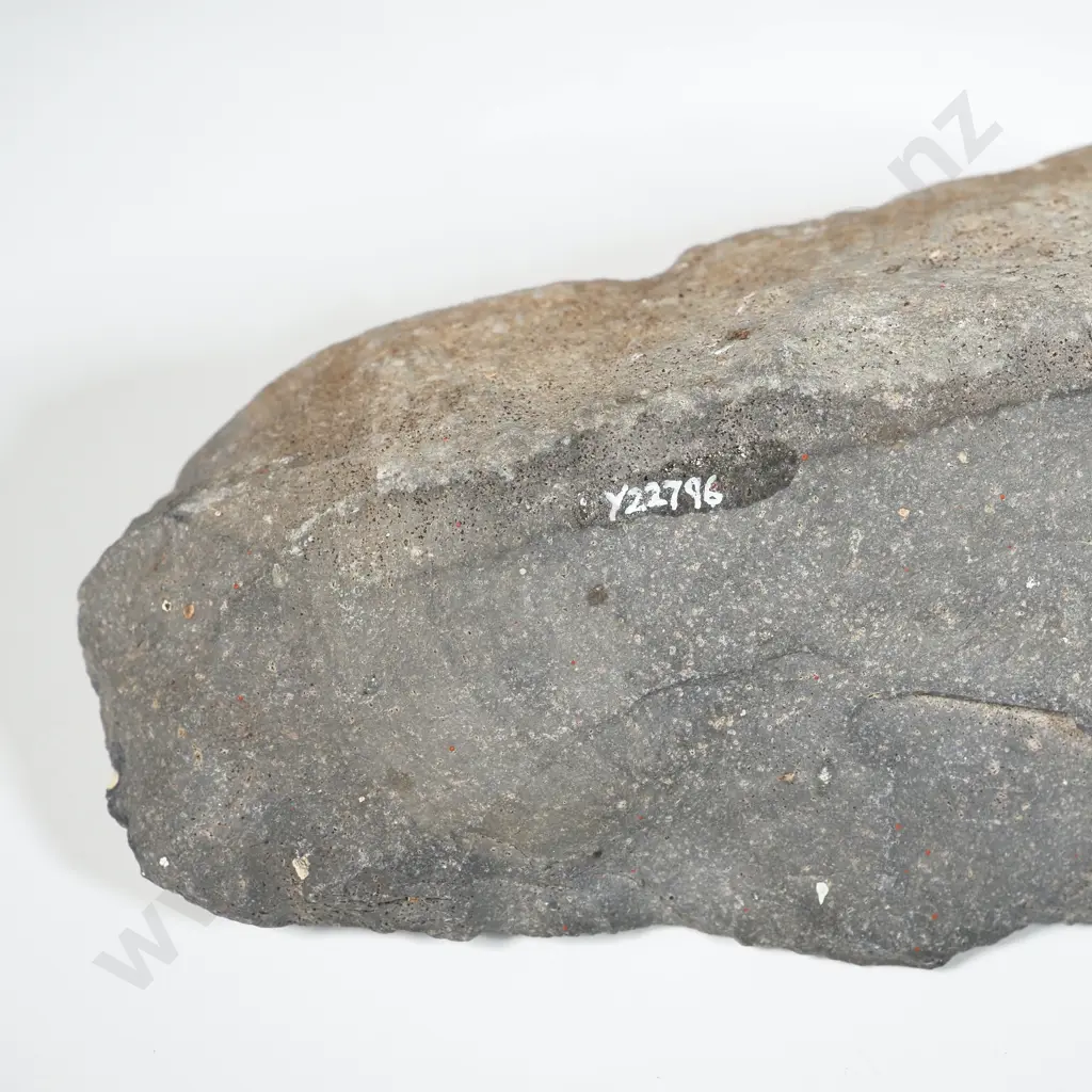 Pre-European Stone Toki Y-22796 Image 1++