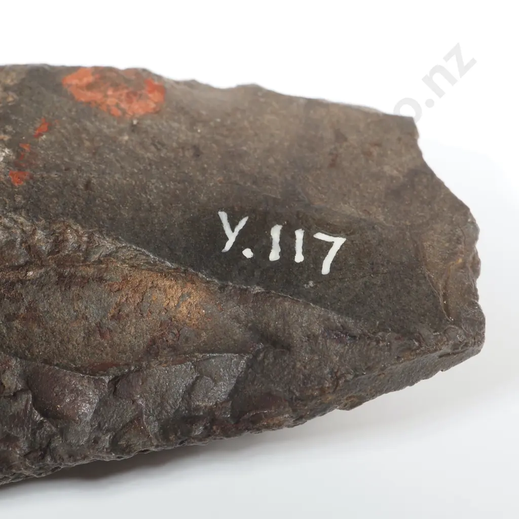 Pre European Stone Toki Y-117 Image 1++