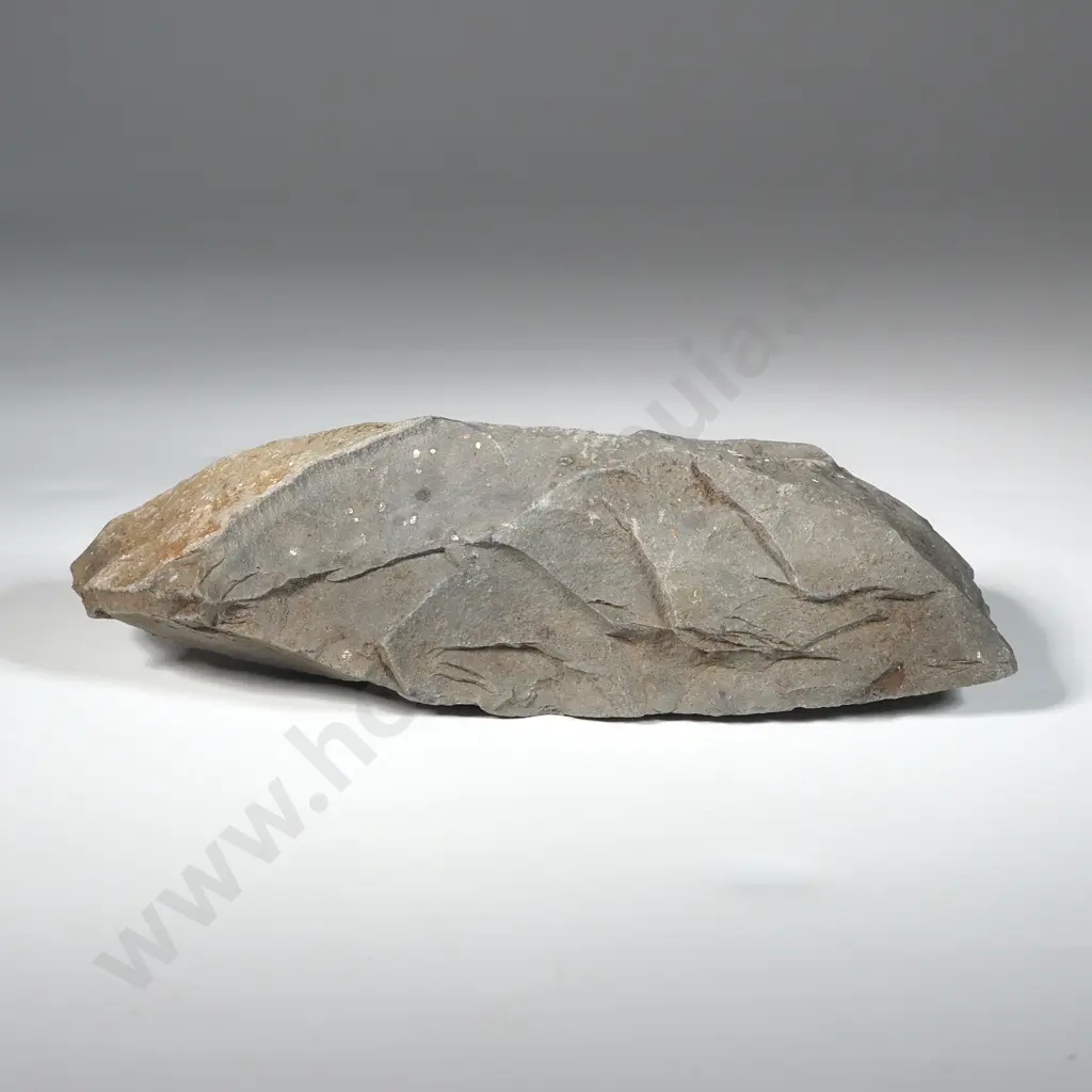 Pre-European Stone Toki Y-22797 Image 1++