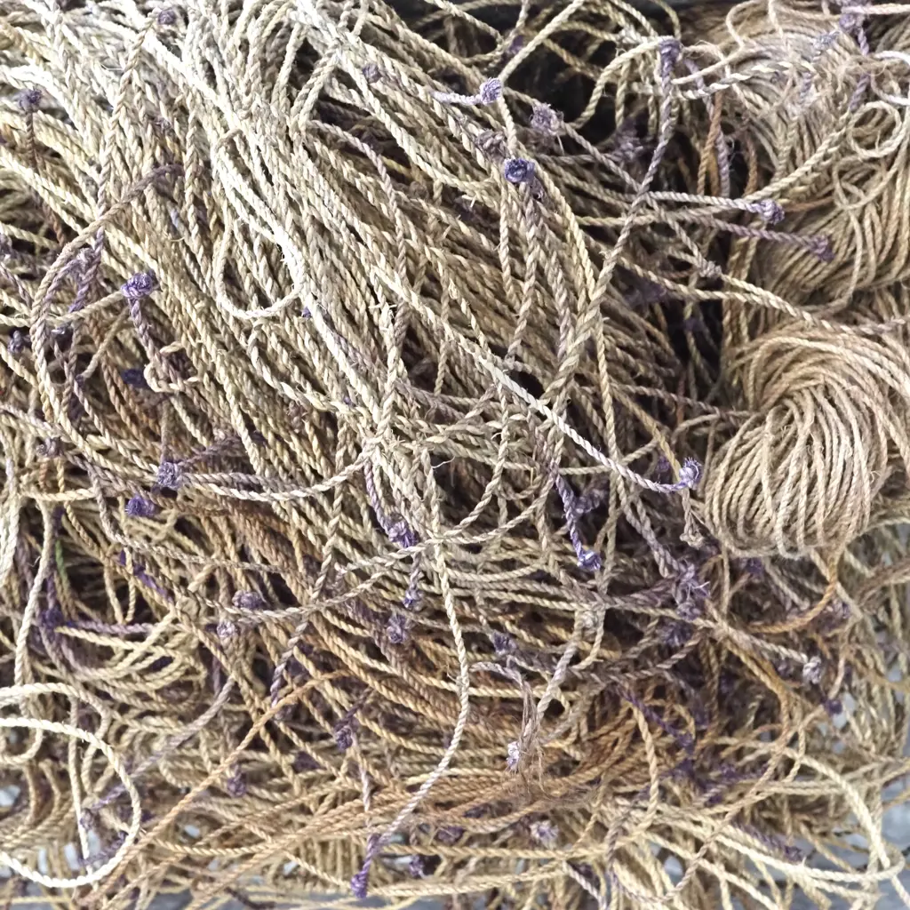 PNG Tribal Fishing Net  Image 1++