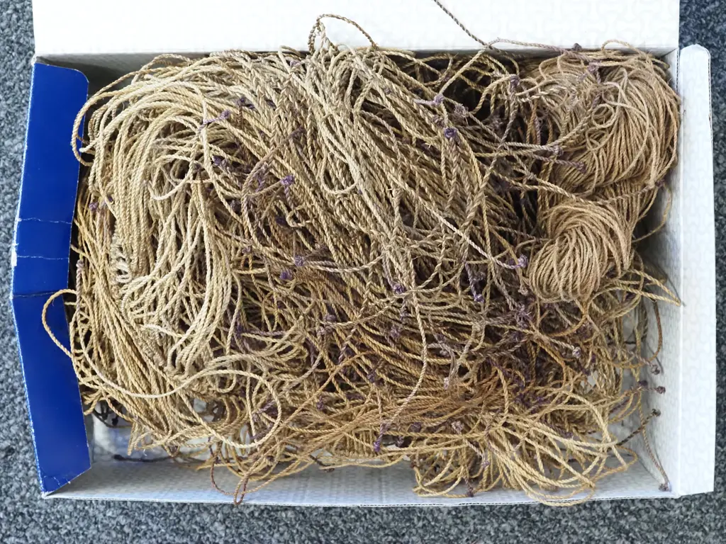 PNG Tribal Fishing Net  Image 1++