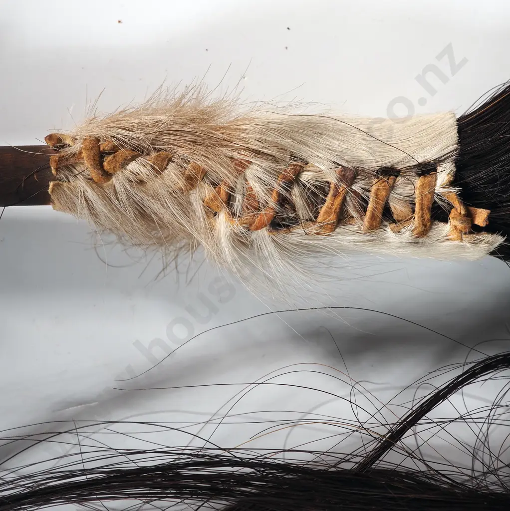 African Hair Whip  Image 1++