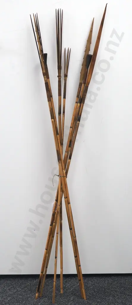 Assorted Lot of Pacific Arrows w Various Tips Image 1++