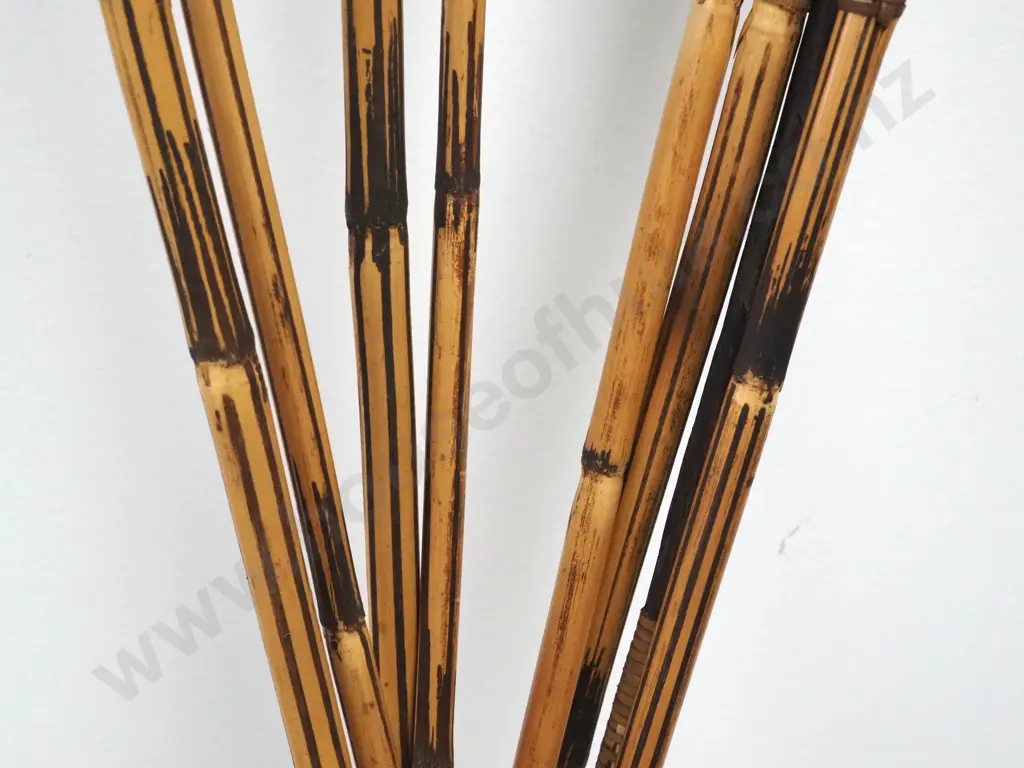 Assorted Lot of Pacific Arrows w Various Tips Image 1++