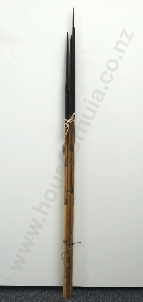 Assorted Lot of Pacific Arrows w Various Tips Image 1++