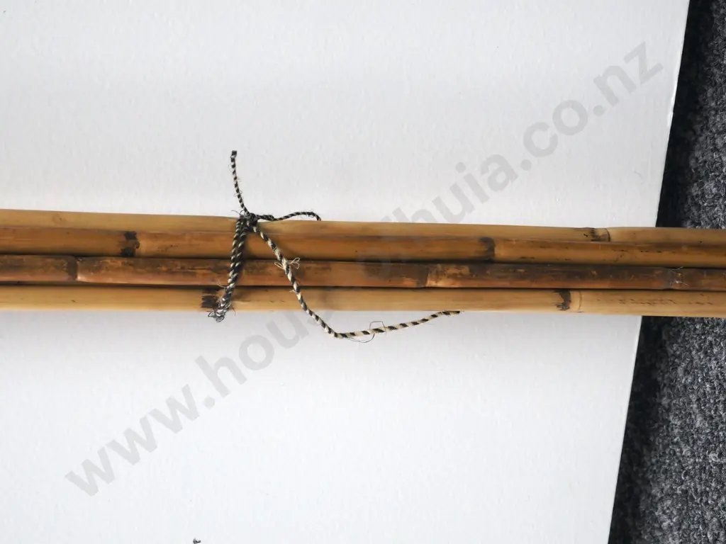 Assorted Lot of Pacific Arrows w Various Tips Image 1++