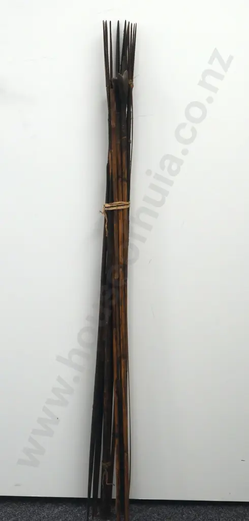 Assorted Lot of Pacific Arrows w Various Tips Image 1++