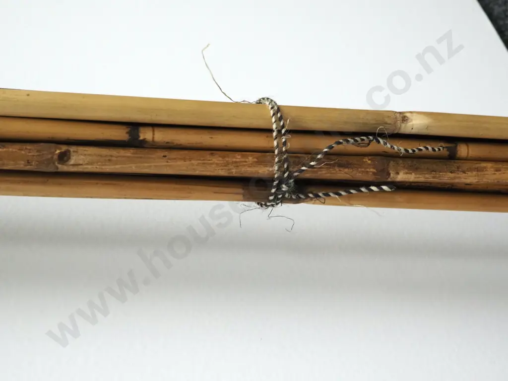 Assorted Lot of Pacific Arrows w Various Tips Image 1++