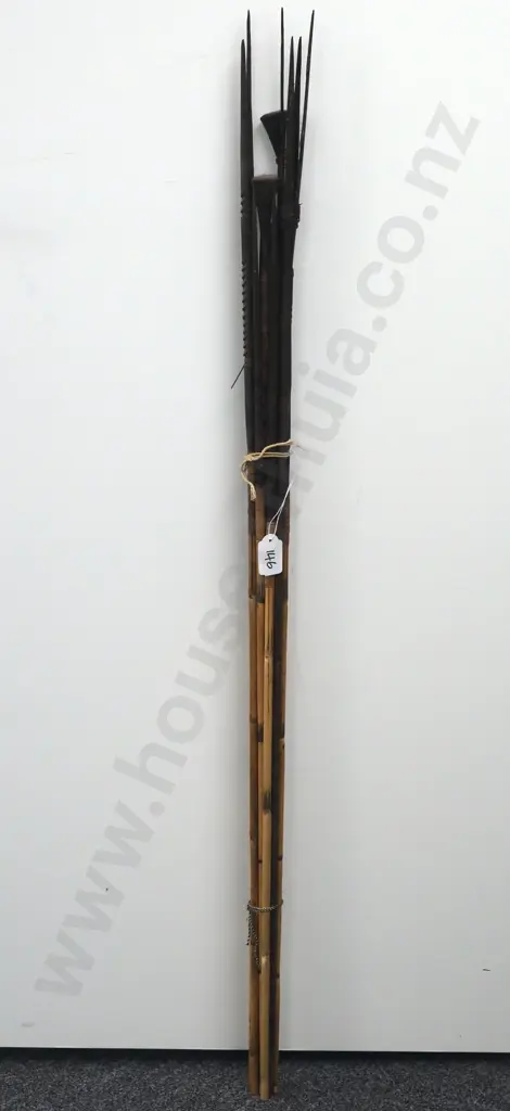 Assorted Lot of Pacific Arrows w Various Tips Image 1++