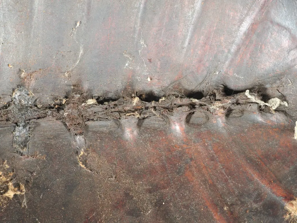 Pacific  Mask Made From A Turtle Shell. Shell Carved & Set With Seashell Eyes & Teeth To Resemble a Face - 53CM Tall Image 1++