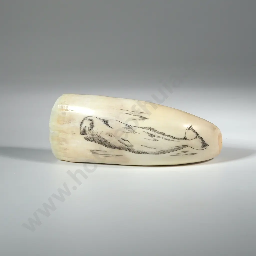 Scrimshaw On Whales tooth With Later Decoration Depicting A Sperm Whale Image 1++