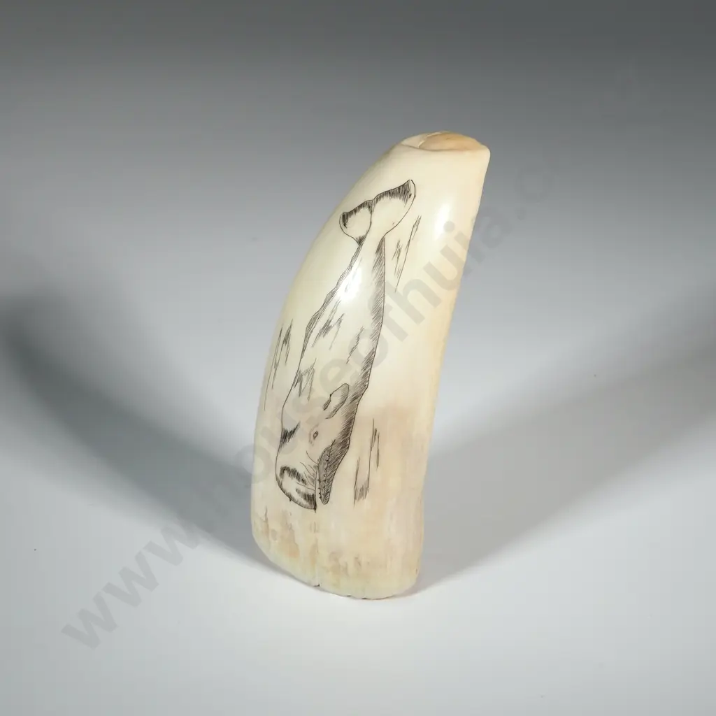 Scrimshaw On Whales tooth With Later Decoration Depicting A Sperm Whale Image 1++