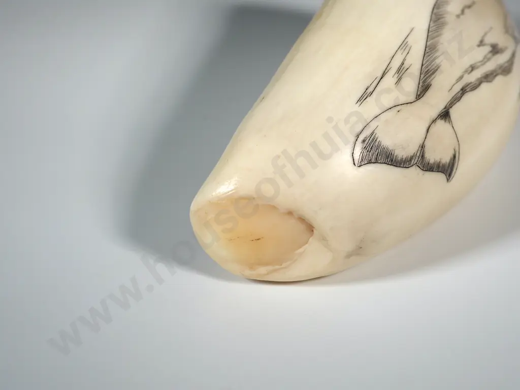 Scrimshaw On Whales tooth With Later Decoration Depicting A Sperm Whale Image 1++