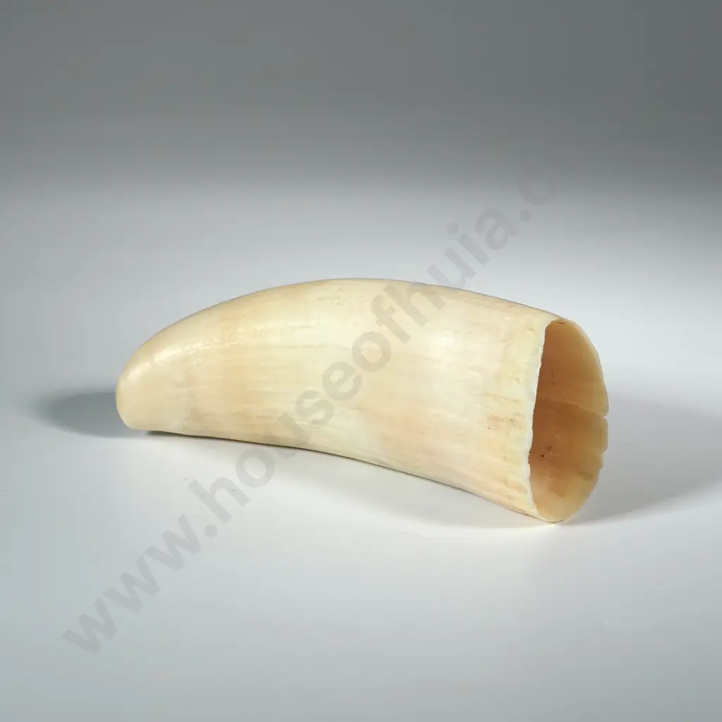 Scrimshaw On Whales tooth With Later Decoration Depicting A Sperm Whale Image 1++