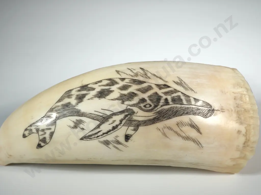 Scrimshaw On Whales tooth With Later Decoration Depicting A Hump Back? Whale Image 1++
