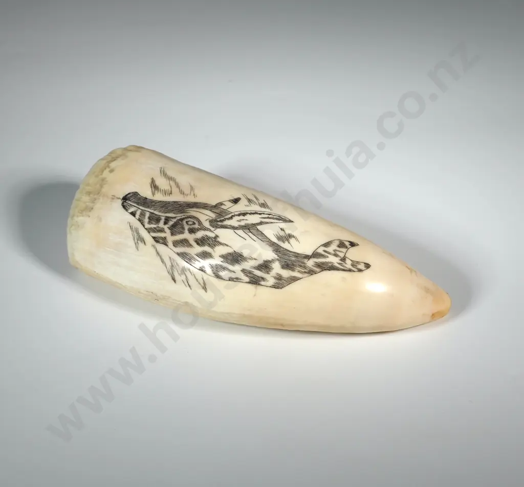Scrimshaw On Whales tooth With Later Decoration Depicting A Hump Back? Whale Image 1++