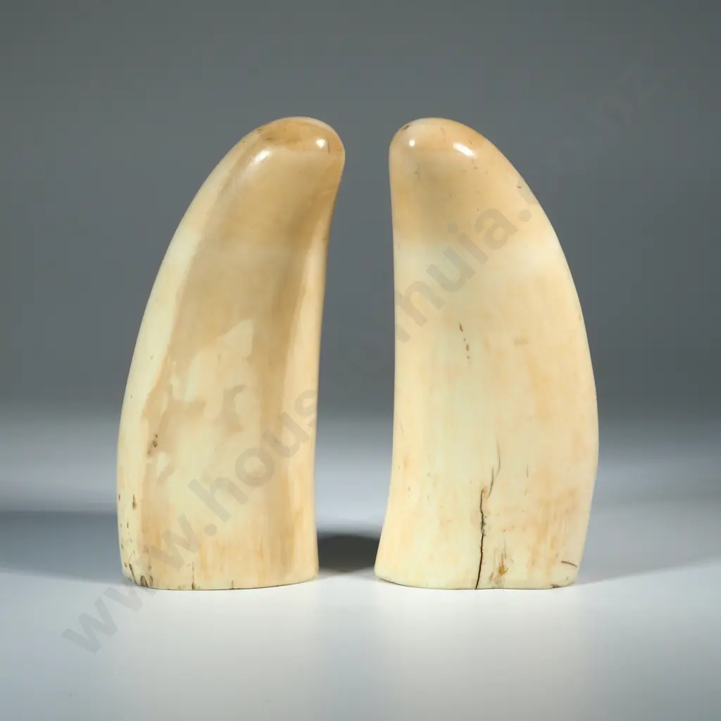 Pair Of Scrimshaw On Whales Teeth With  Later Decoration Of Allover Decoration Of Leaves & Flowers Image 1++