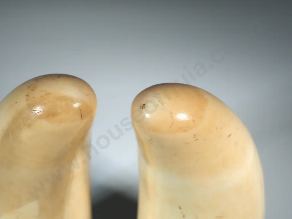 Pair Of Scrimshaw On Whales Teeth With  Later Decoration Of Allover Decoration Of Leaves & Flowers Image 1++