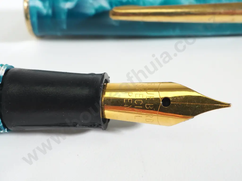 Marbled Turquoise Bluebird Special Fountain Pen Image 1++