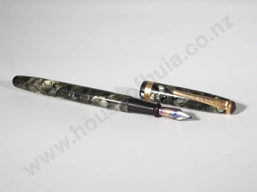 Onoto Marbled Fountain Pen: 14ct Gold Nib Image 1++