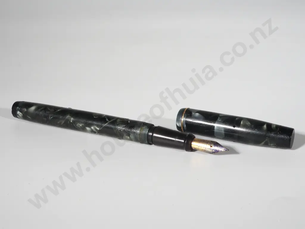 Onoto Marbled Fountain Pen: 14ct Gold Nib Image 1++