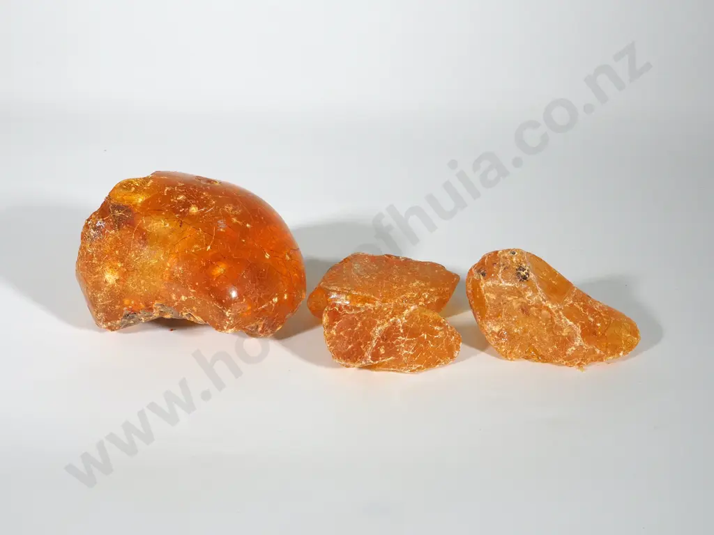 Four Substantial Pieces of Kauri Gum Image 1++