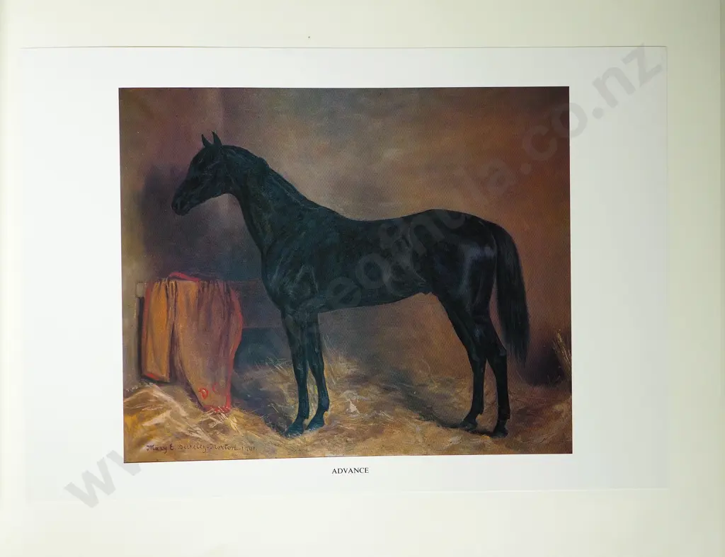 "Notable New Zealand Thoroughbreds": Alister Taylor - Perfect Condition Image 1++