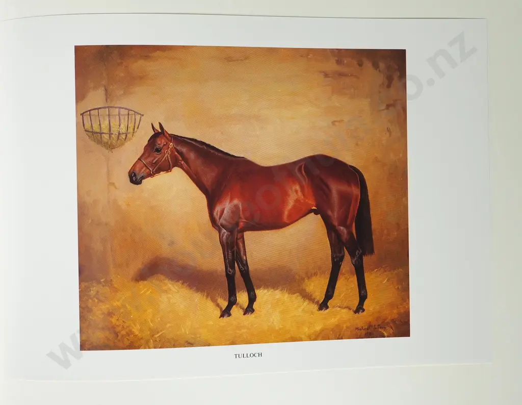 "Notable Australian Thoroughbreds": Alister Taylor - Mint Condition Image 1++